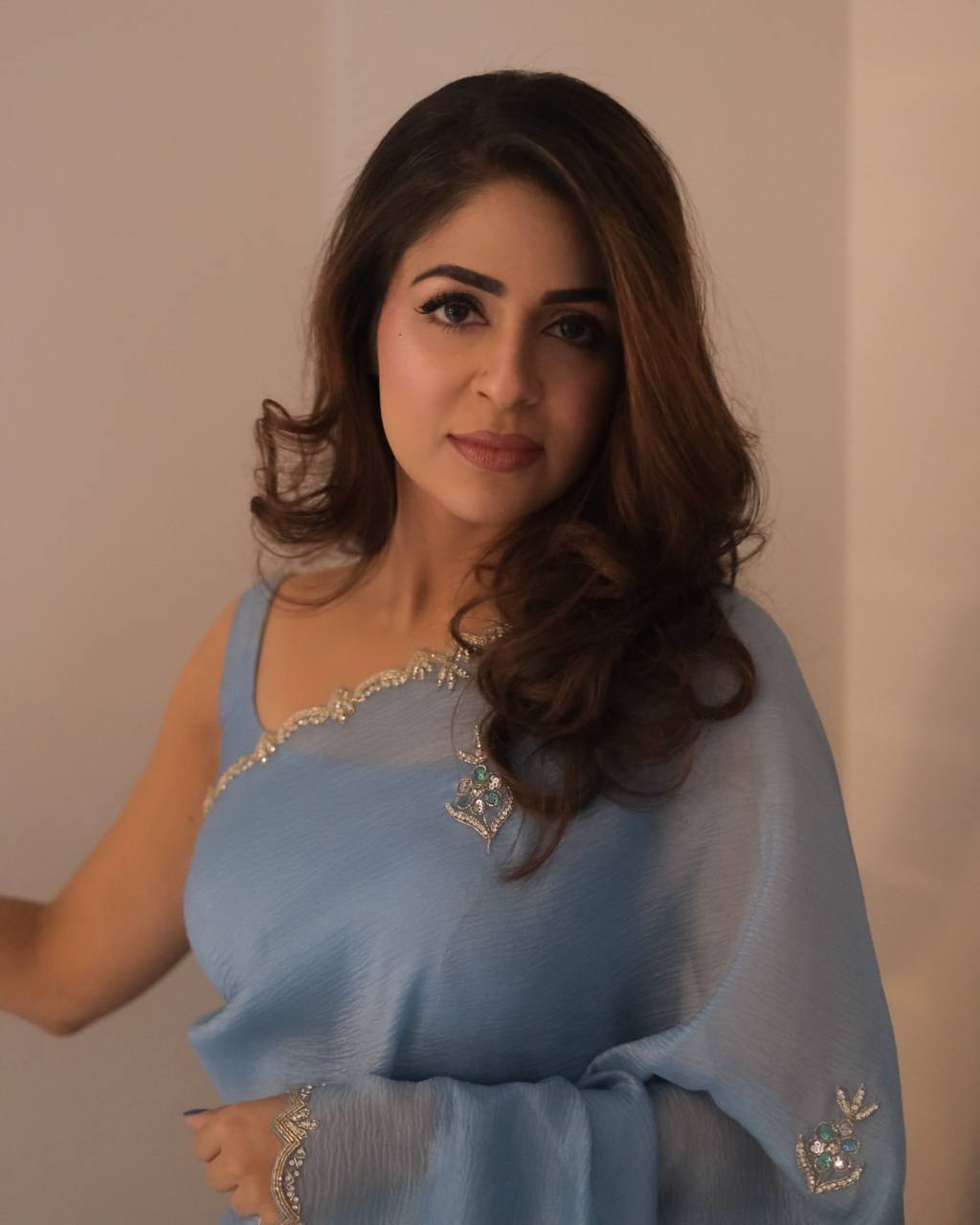 Sky Diamond Hand Work Beautiful And Captivating Designer Saree